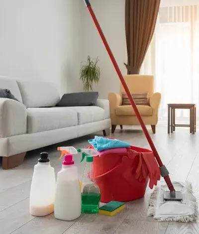 Sprzątanie mieszkań i biur Na Błysk Aleksandra Szpałek